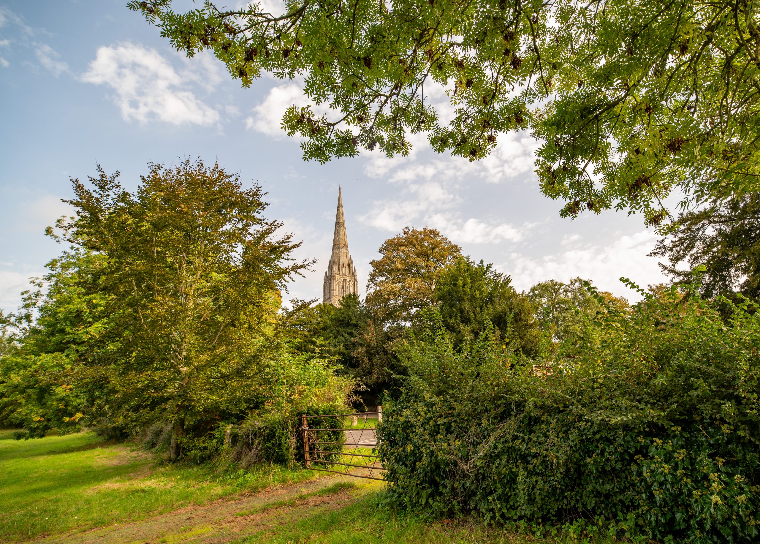 View of the spire in the distance, beyond the trees and fields
