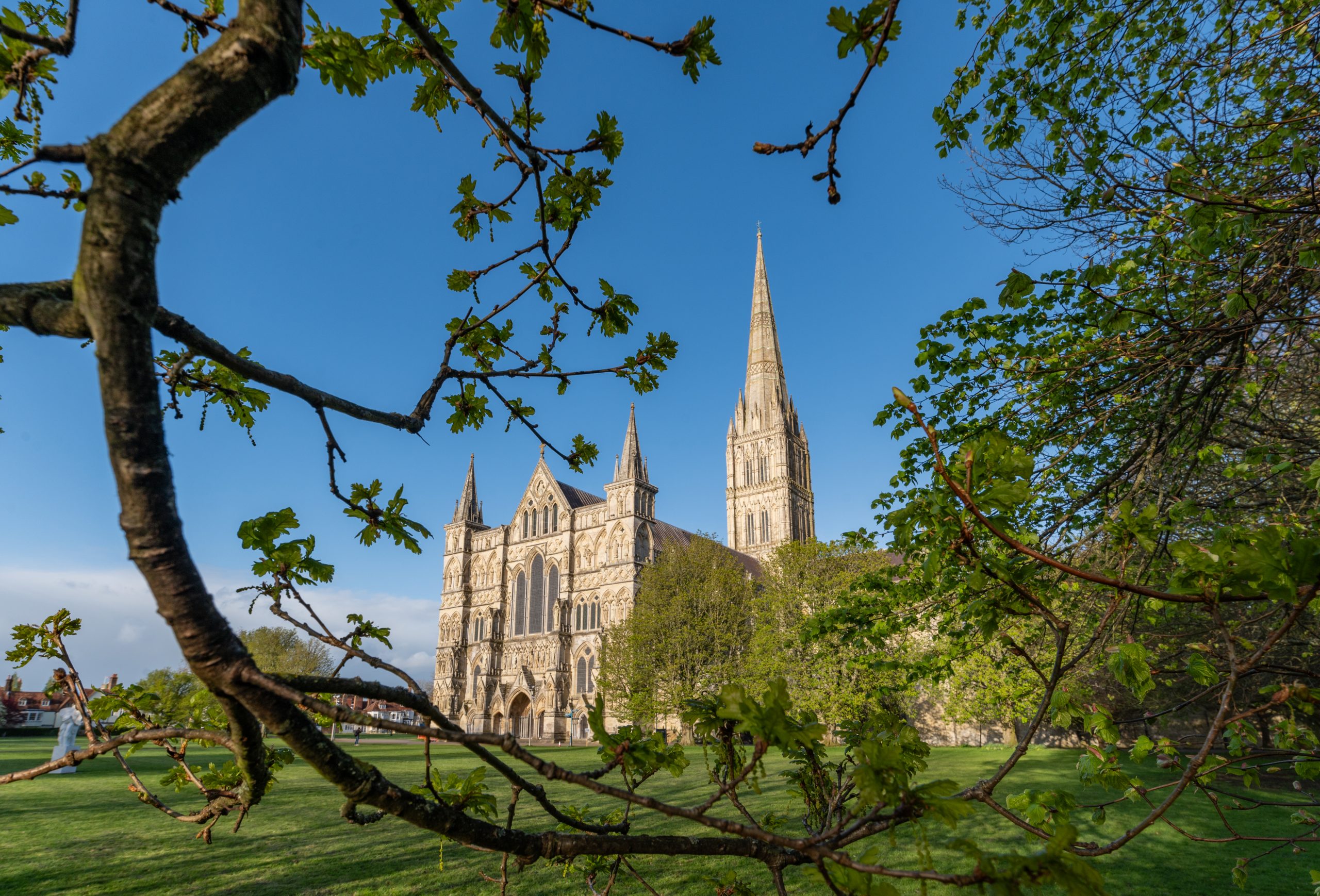 View of Cathedral from north west, through branches of a tree in springtime.
