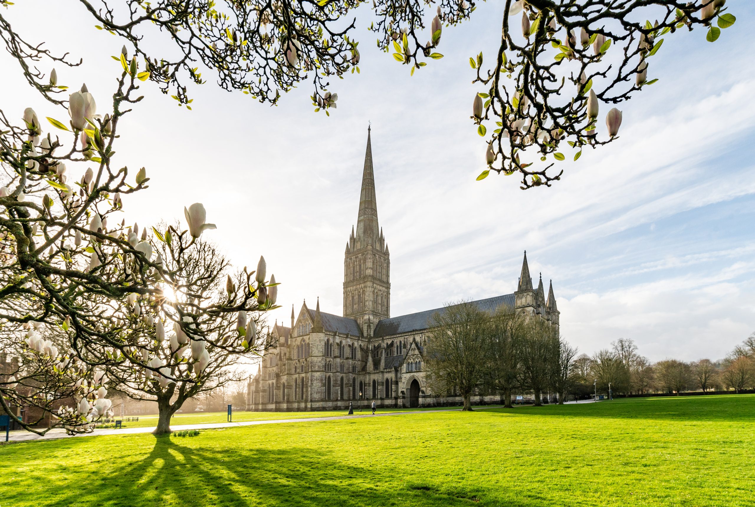 View of the Cathedral from beneath the magnolia treet