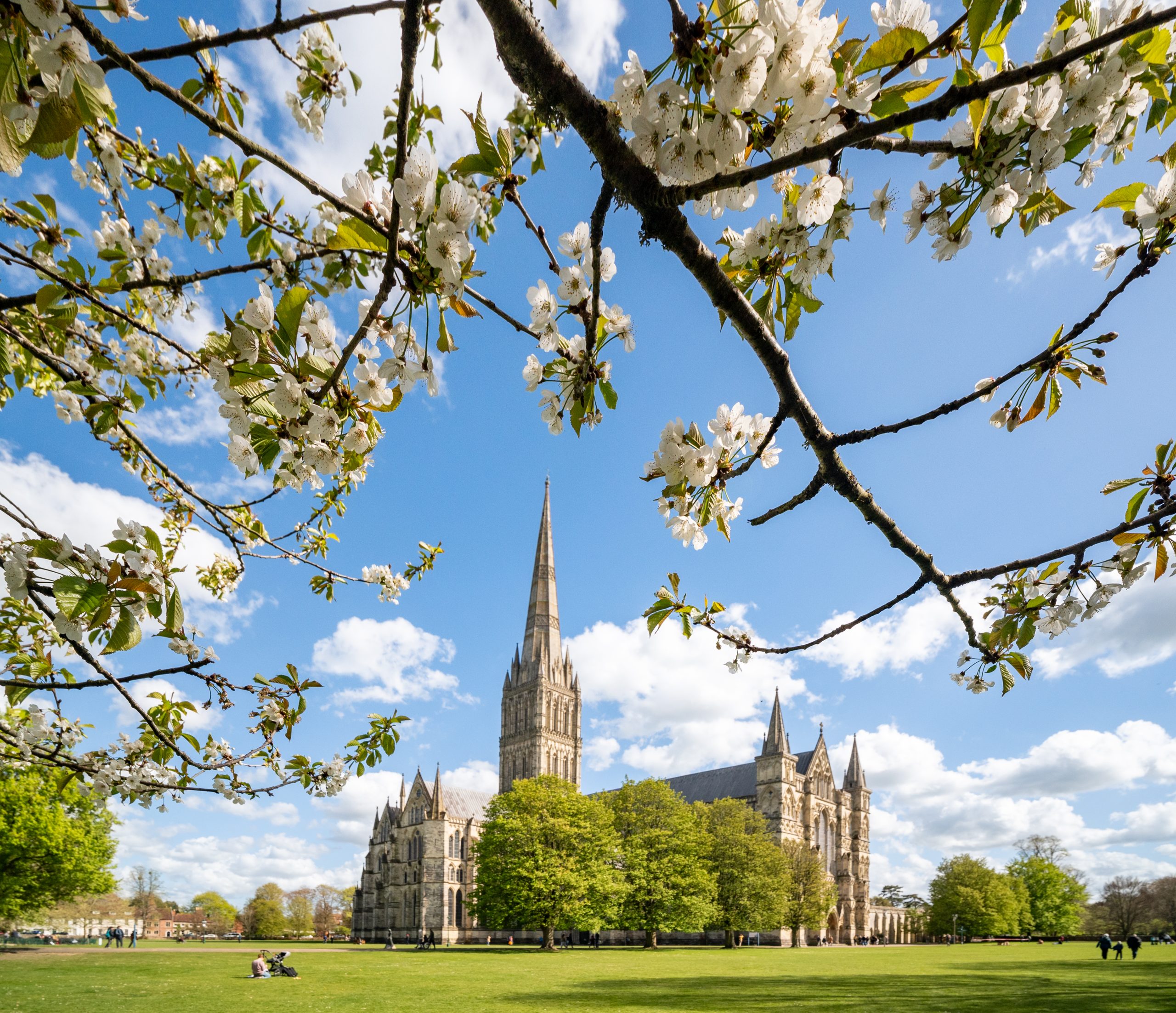 External view of cathedral from North-West, in the spring sunshine