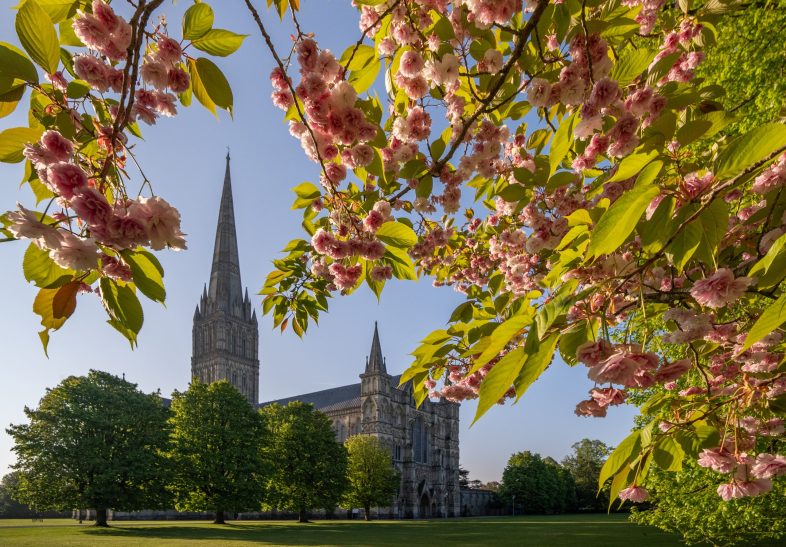 A view of the Cathedral across the lawns with pink blossom in the foreground