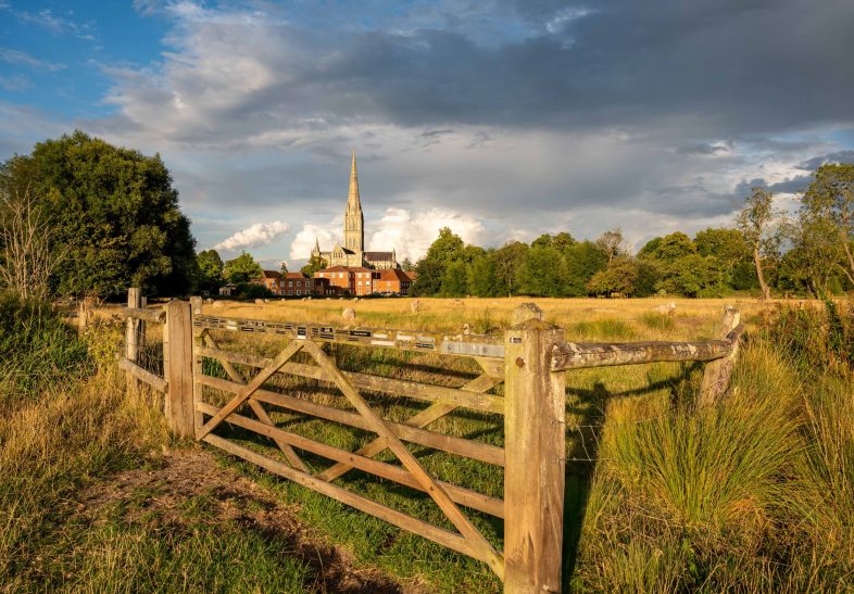 View of the Cathedral in the distance across golden fields